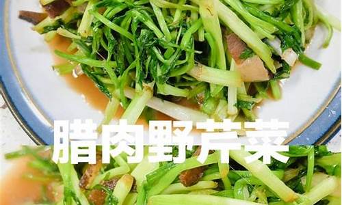 野芹菜的做法-野芹菜的做法有哪些