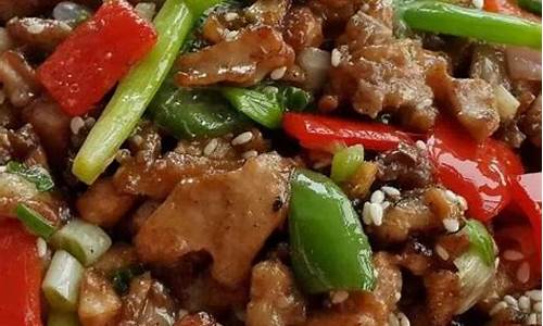 麻辣兔肉的做法大全菜谱窍门-麻辣兔肉的做法大全家常菜窍门